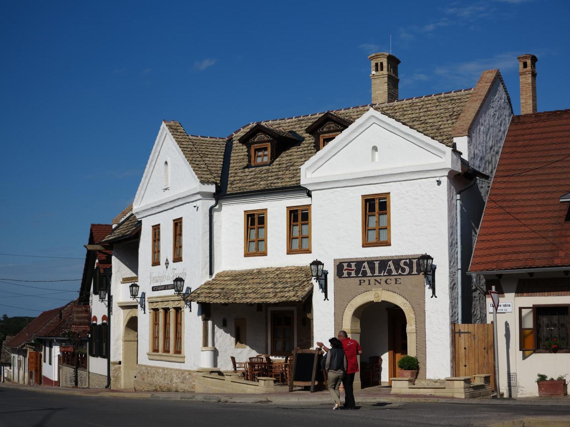 Halasi Pince Panzio Villány Exteriör bild