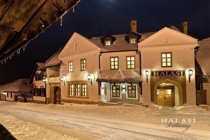 Halasi Pince Panzio Villány Exteriör bild