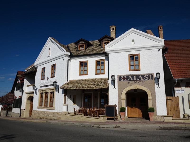 Halasi Pince Panzio Villány Exteriör bild